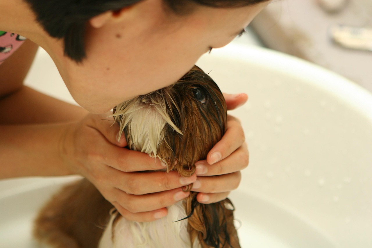 dog groomer in Reading